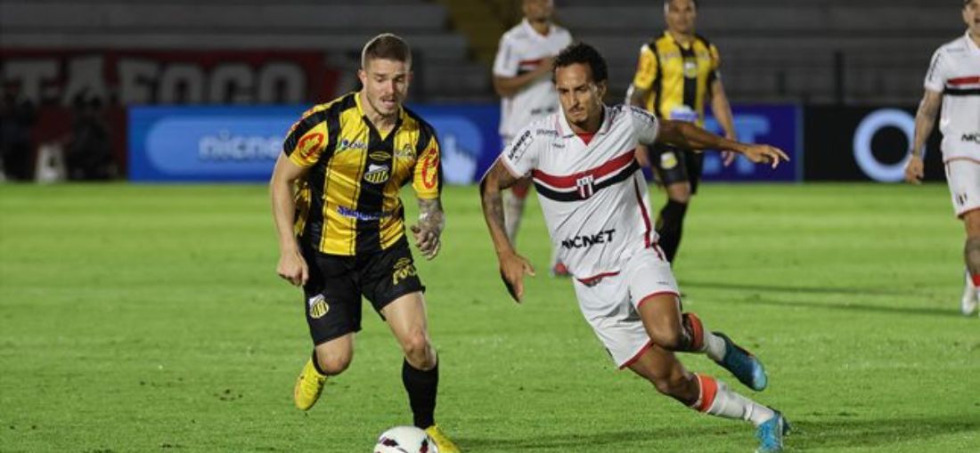Foto: Divulgação/Botafogo-SP