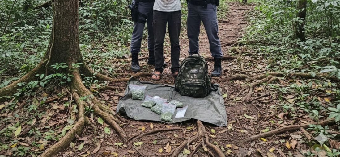 Imagem gerada por IA