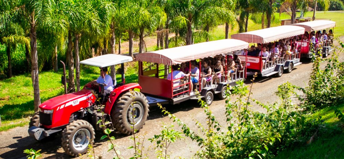 Passeio de trenzinho leva os visitantes aos principais pontos dos parque 