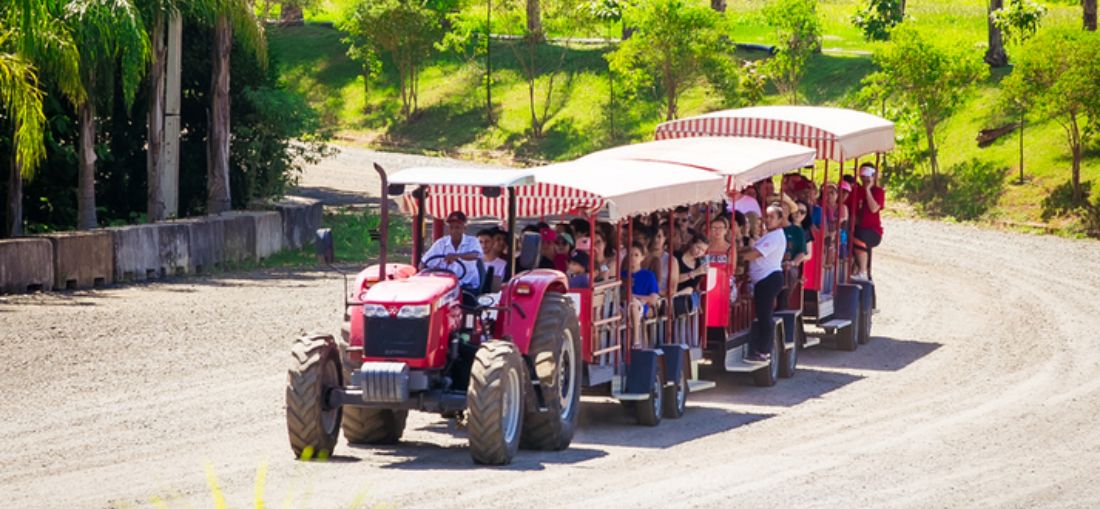 Turismo na terceira idade cresce e impulsiona destinos no Brasil