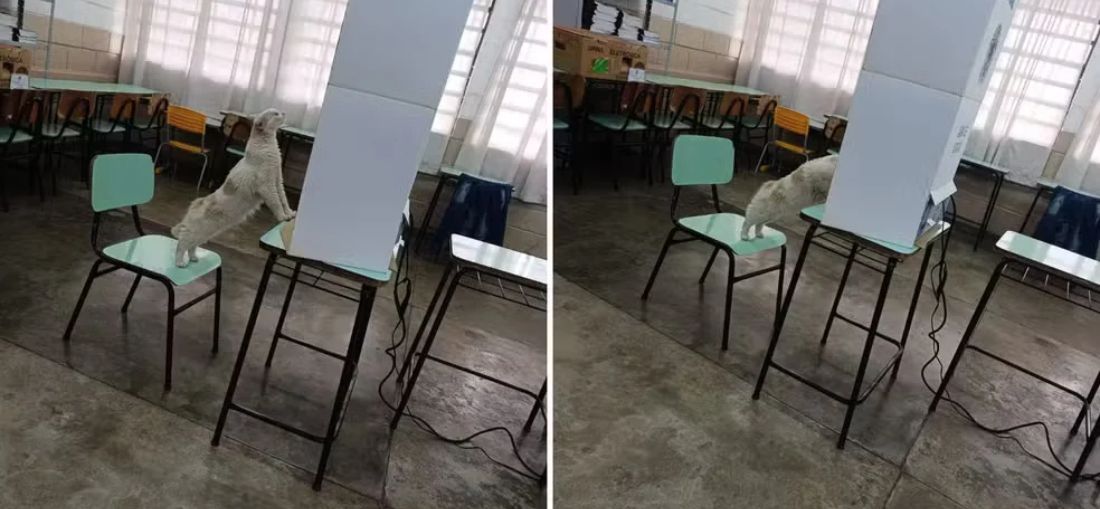 REGIÃO
